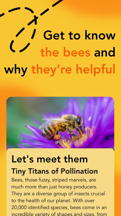 Let's Bee Friends