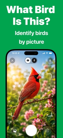Bird Call Identifier - Bird ID iPhone screenshot