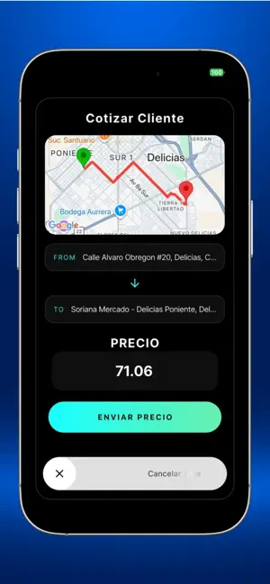 GoDriverd screenshot 4