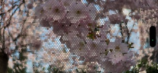 Bee Vision Cam screenshot