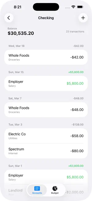 PocketActual screenshot 3