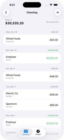 PocketActual Screenshot 3 of 3