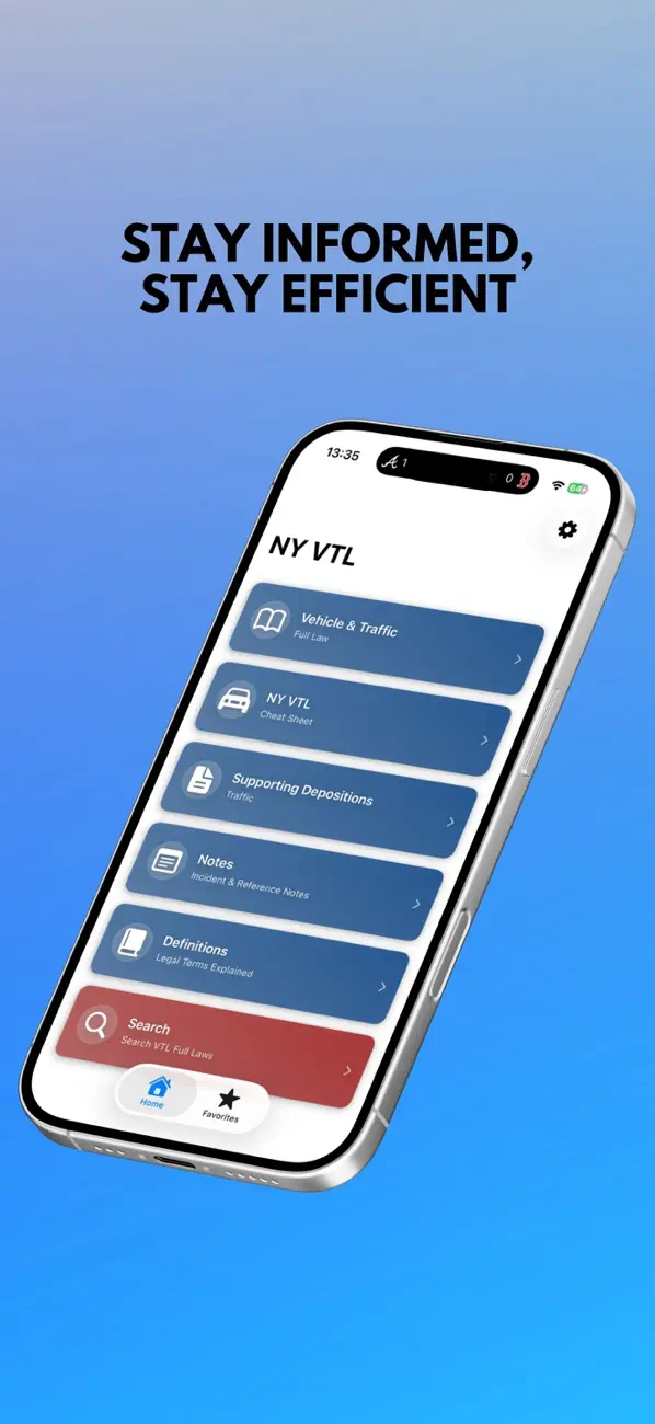 NY VTL Screenshot 1