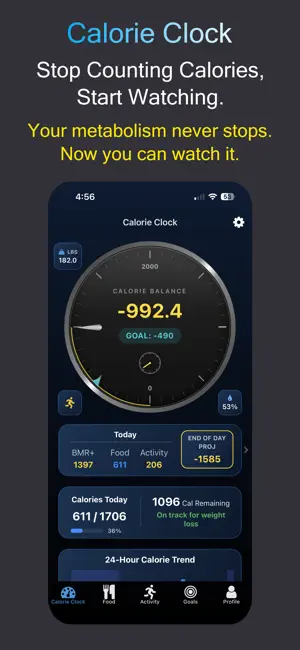 Calorie Clock: Real-Time screenshot 1