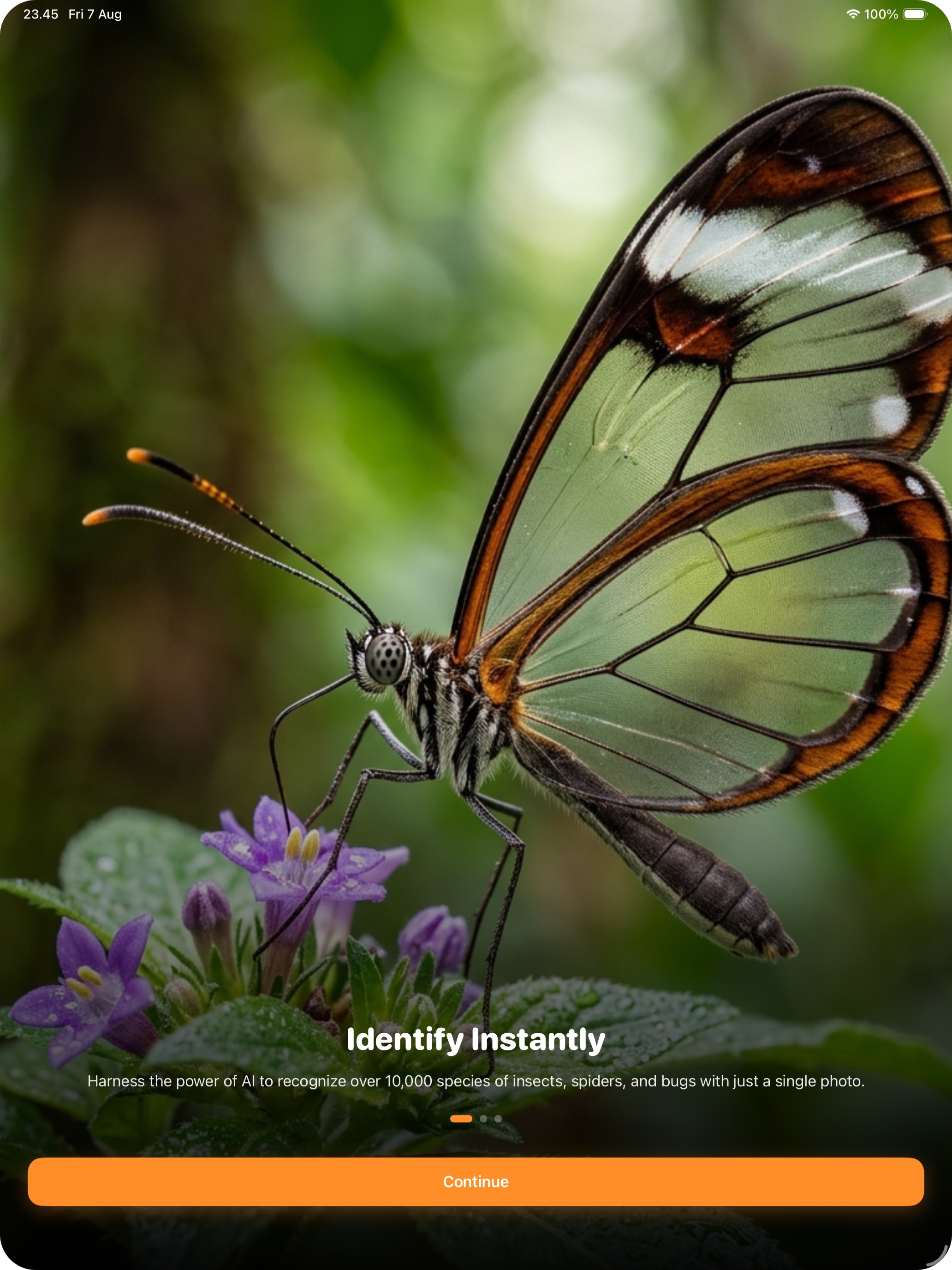 Insect Identifier: AI Bug Scan screenshot 6