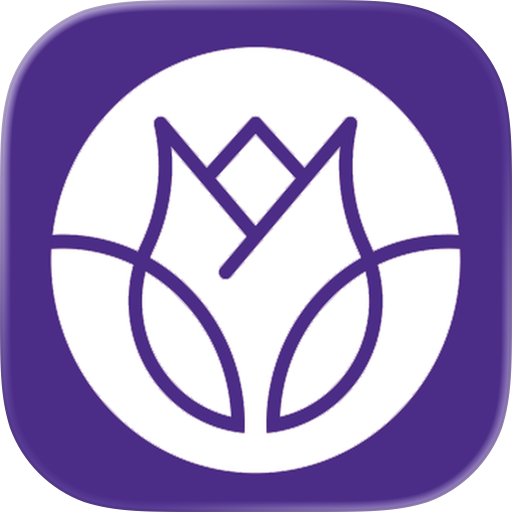 Viola | ڤيولا