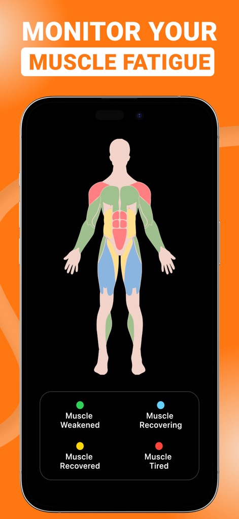 Gym WP - Workout Planner & Log - This tool provides an intuitive muscle recovery map, indicating muscle status, and offers real-time fatigue assessment for optimal training schedules.