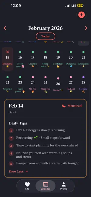 Spaghetti Cat - Period Tracker screenshot 2