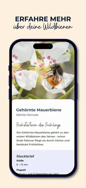 MyBeeHome: Wildbienen Zuhause screenshot 4