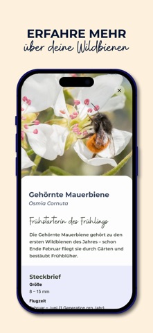 MyBeeHome: Wildbienen Zuhause screenshot