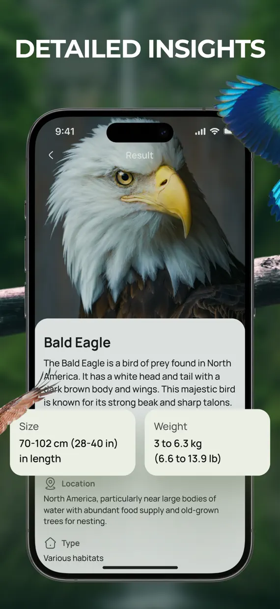 Bird Identifier & Guide screenshot 2