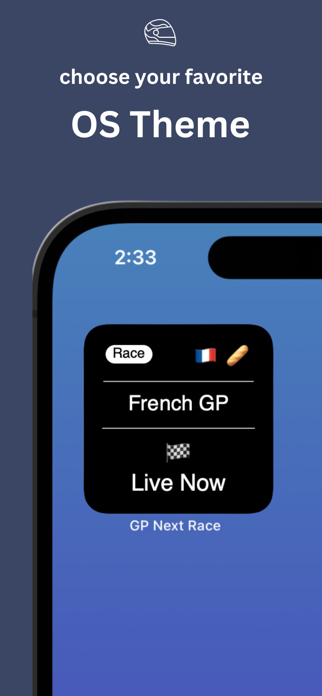 GP Next Race Screenshot 3 of 3