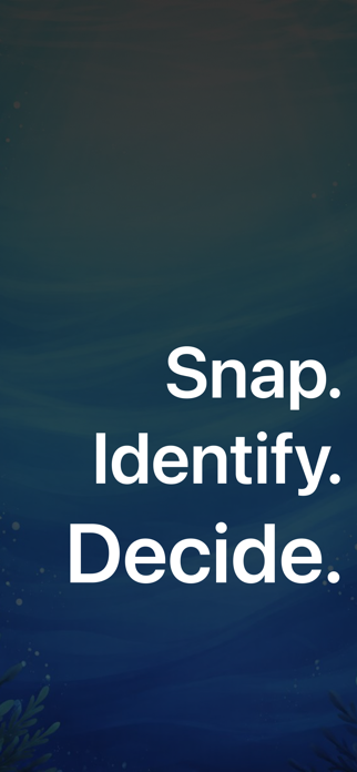 Fish Identifier: Oriva Screenshot 6 of 6