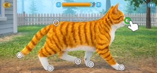 Move pets Screenshot 3 of 6