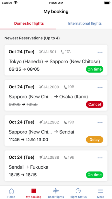Japan Airlines Screenshot
