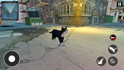 Kitty Lost Big City Simulator Screenshot