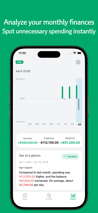 Zenith Budget Screenshot 3 of 6