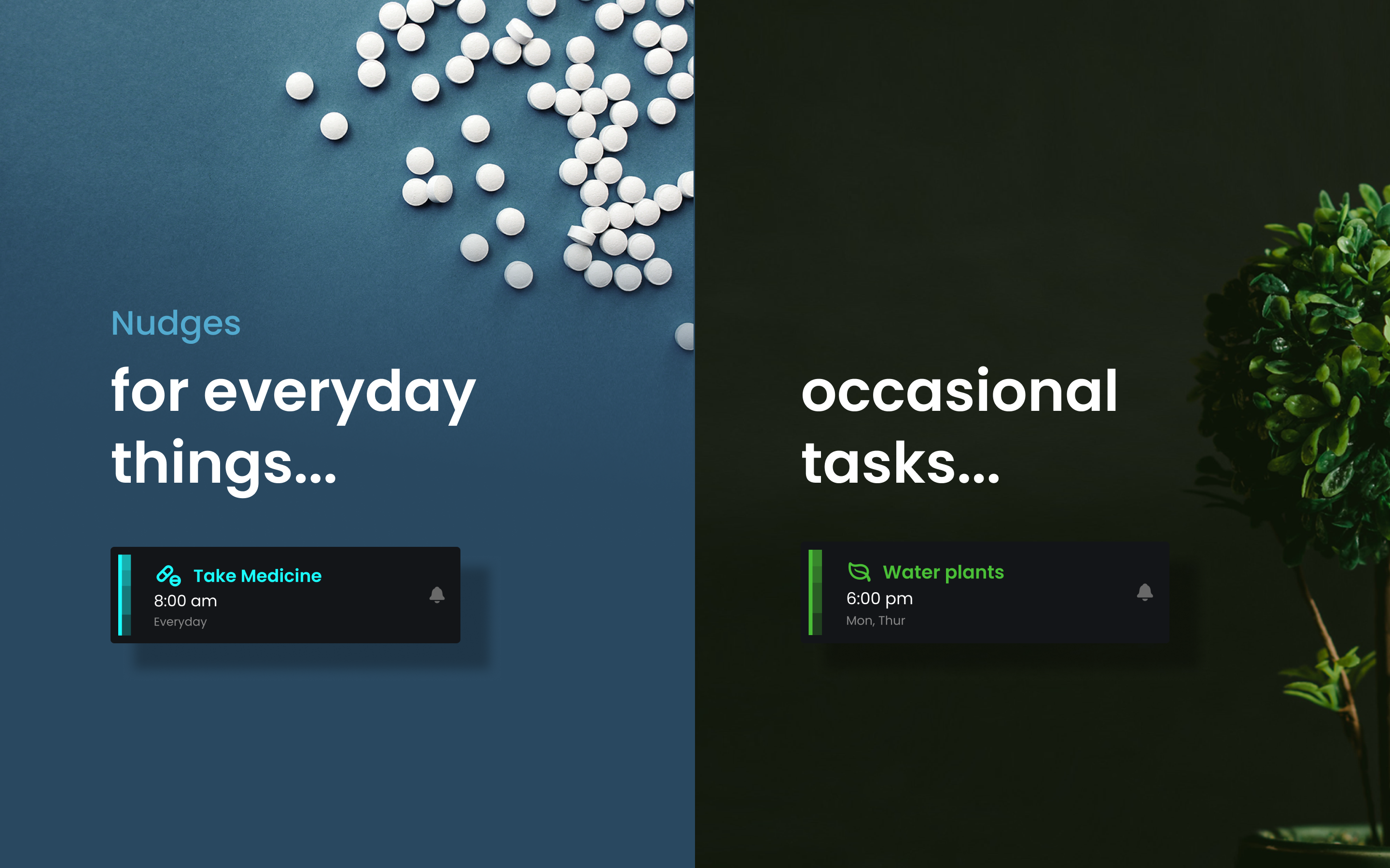 Nudge: Daily Reminders