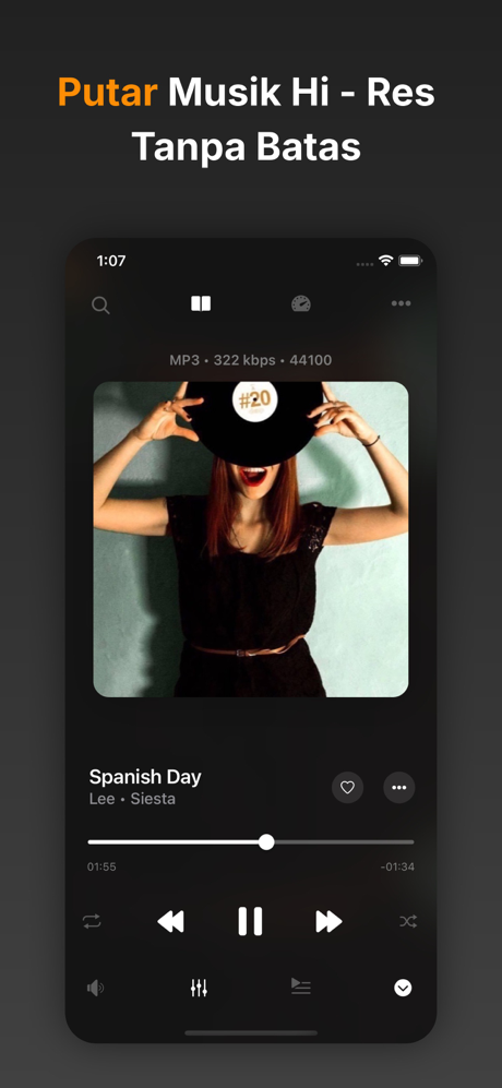 Flacbox: Pemutar Musik Hi-Res screenshot 1