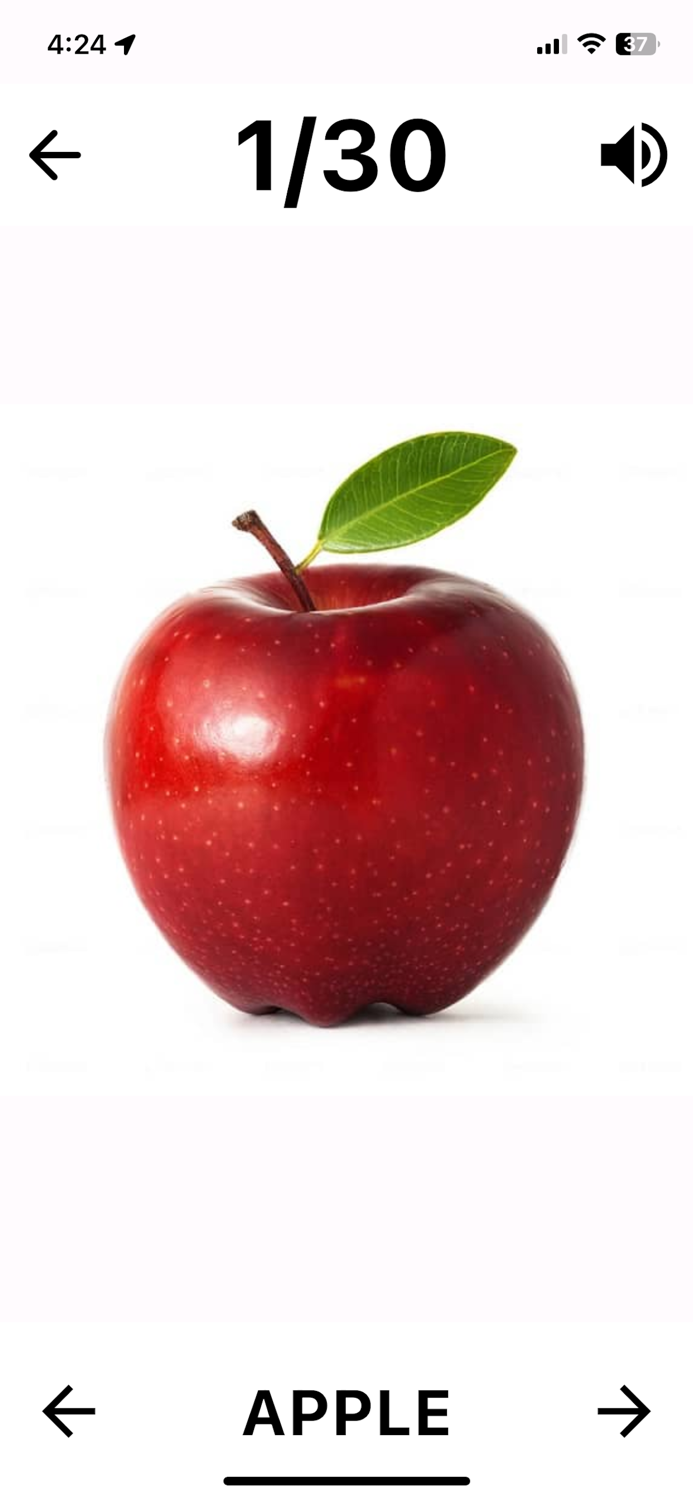 Flashcard English for beginner