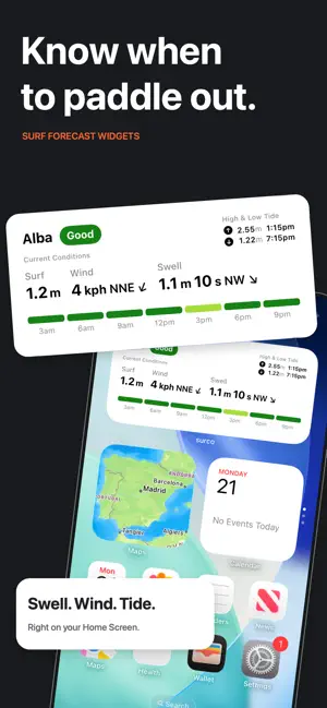 Surco: Forecast and Widgets screenshot 1