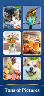 Drop Solitaire - Card Puzzles screenshot 7