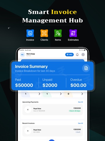 BizFlow: Invoice Maker & Bill iPad screenshot