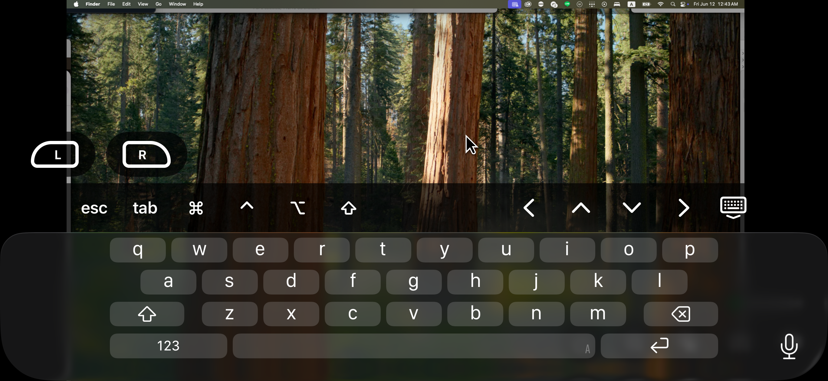 Qscreen screenshot 2