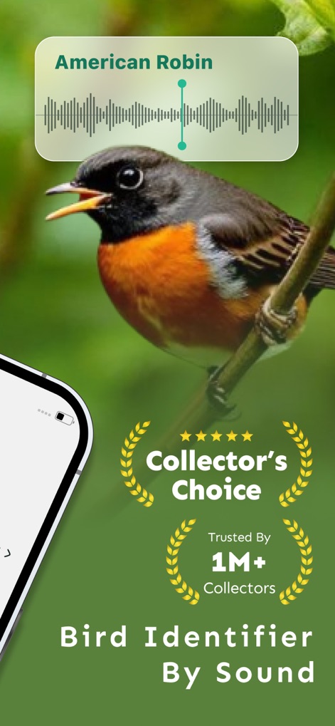Bird Sound Identifier Song ID - Reference App | MWM