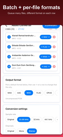 Audio Converter: MP3 AAC WAV iPhone screenshot
