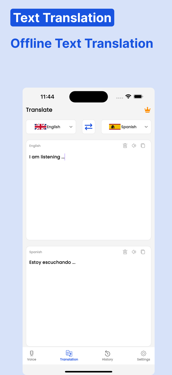 Translation voice and text