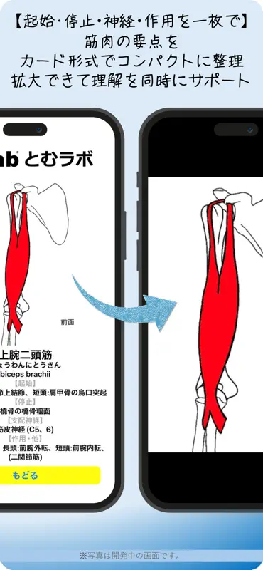 筋肉辞典 screenshot 2 of 6