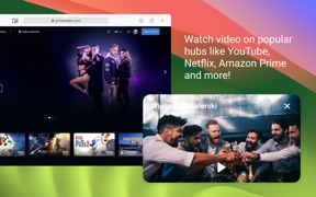 Picture-in-Picture Player screenshot