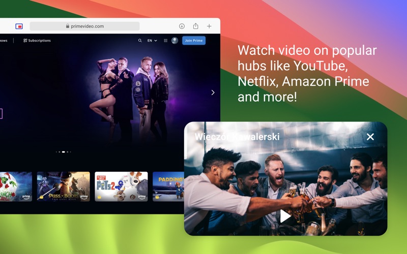 Picture-in-Picture Player screenshot 3