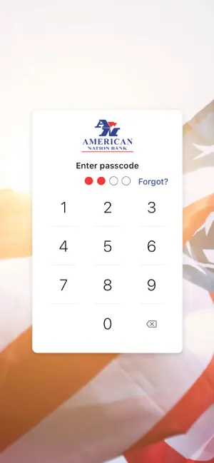 American Nation Bank screenshot 2
