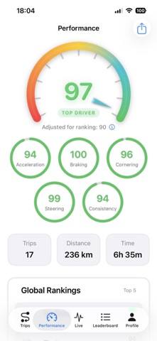 Top Driver. Screenshot 2 of 9
