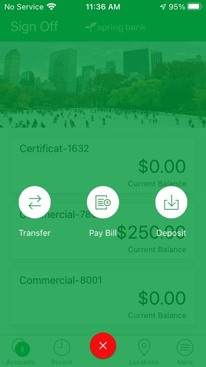 Spring Bank NY Personal screenshot-4