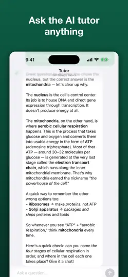 Capture d'écran de StudyAI Personalized Guides sur iPhone 4