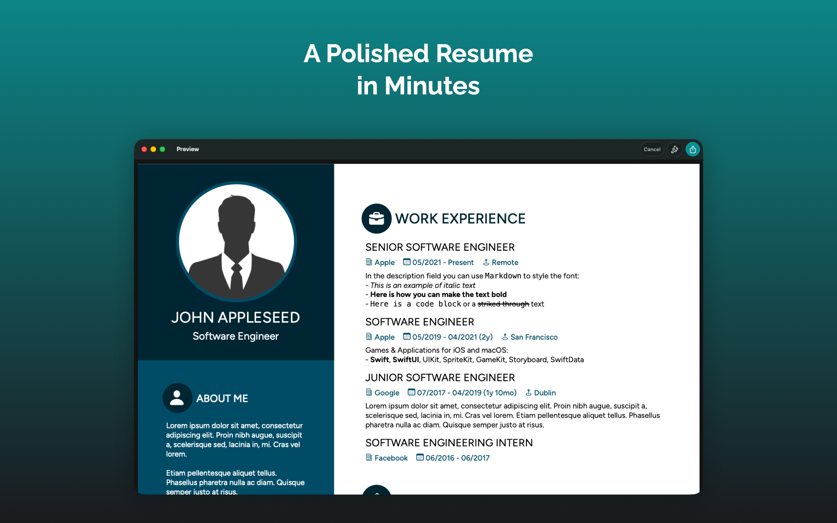 Vitario — Unique Resume screenshot 15