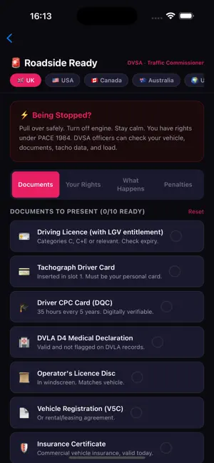 RigRight screenshot 3