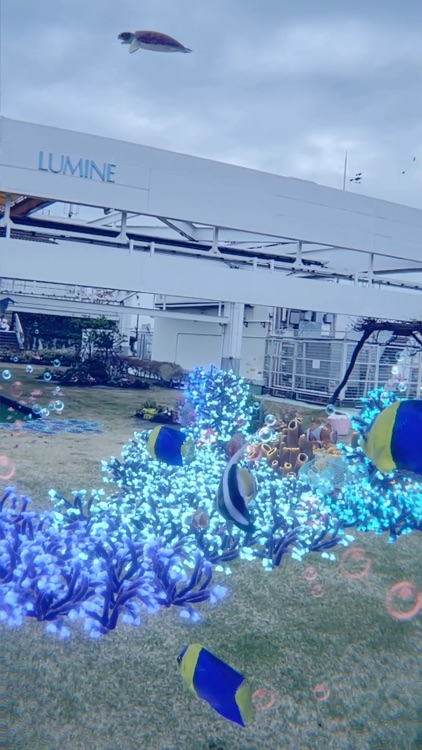 AR水族館 @ パンマルシェ
