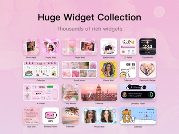 Top Widgets⁺ Icons & Themes iPad screenshot