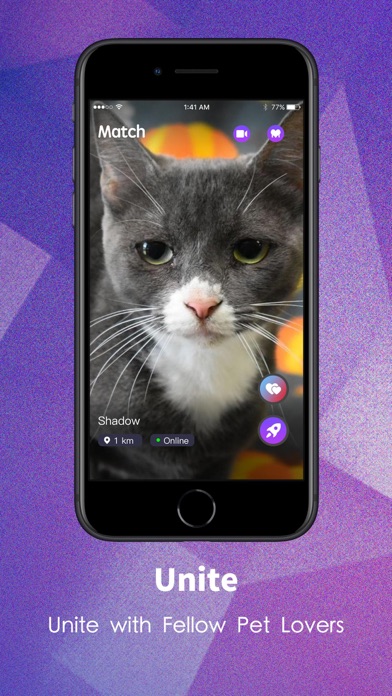 CatVibe - cat space Screenshot