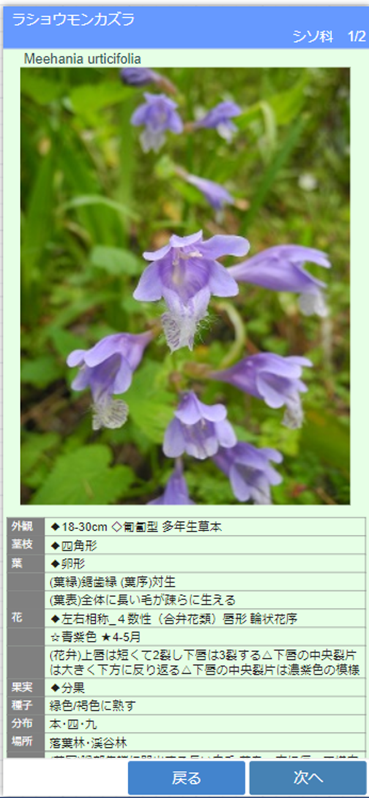 街野植物図鑑入門編 (jpflora300)
