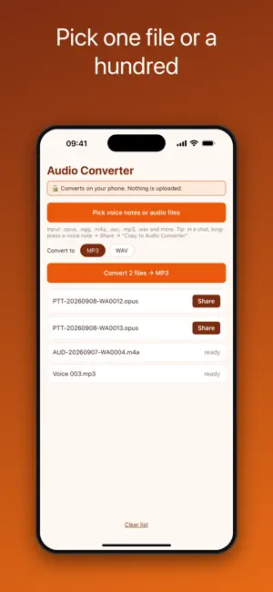 Opus to MP3 Converter screenshot 3