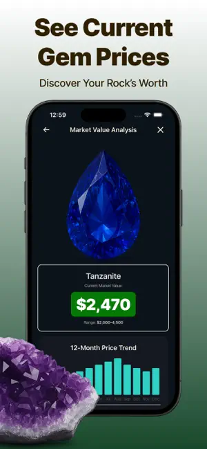 Rock Identifier: Gem Value screenshot 3