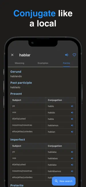 Che: Argentinian Dictionary screenshot 2