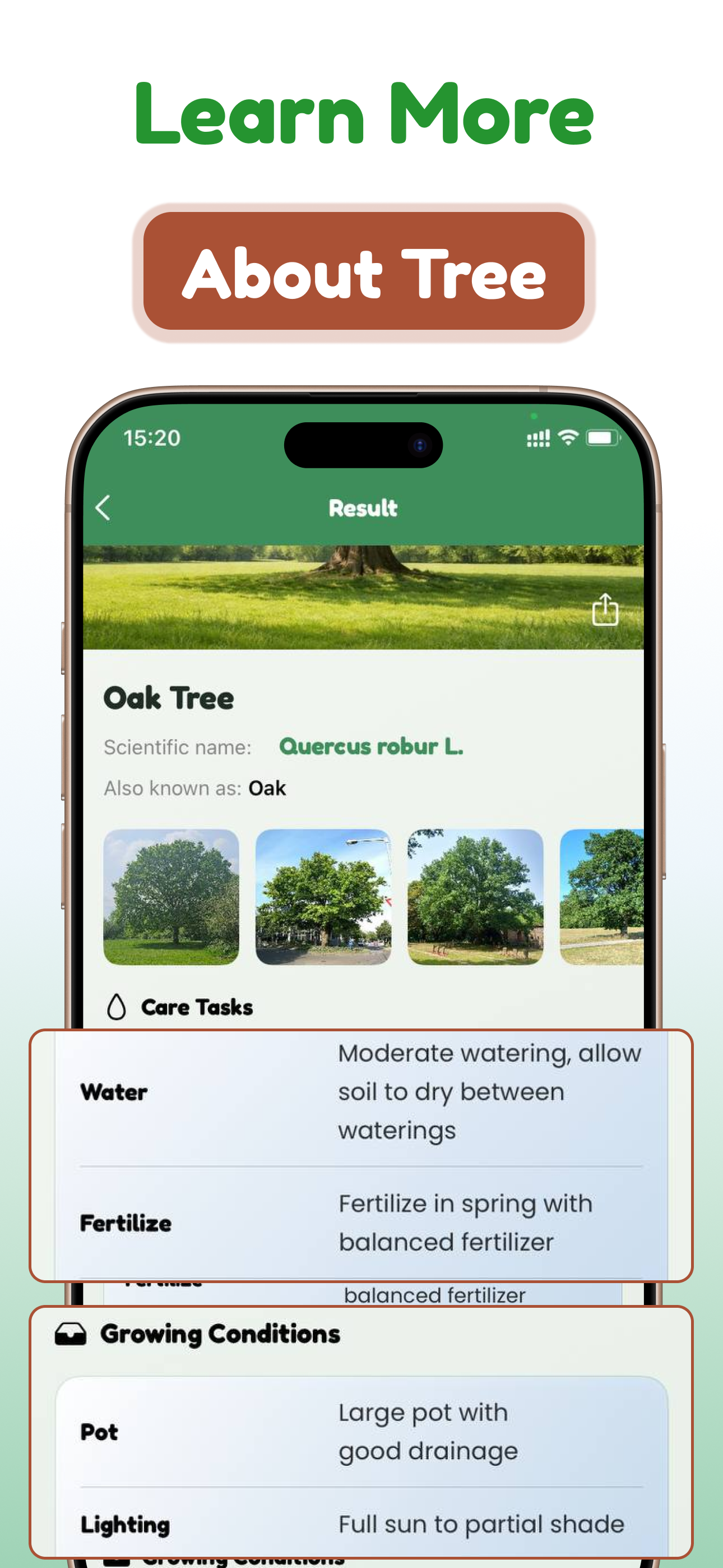 Tree and Plant Identifier