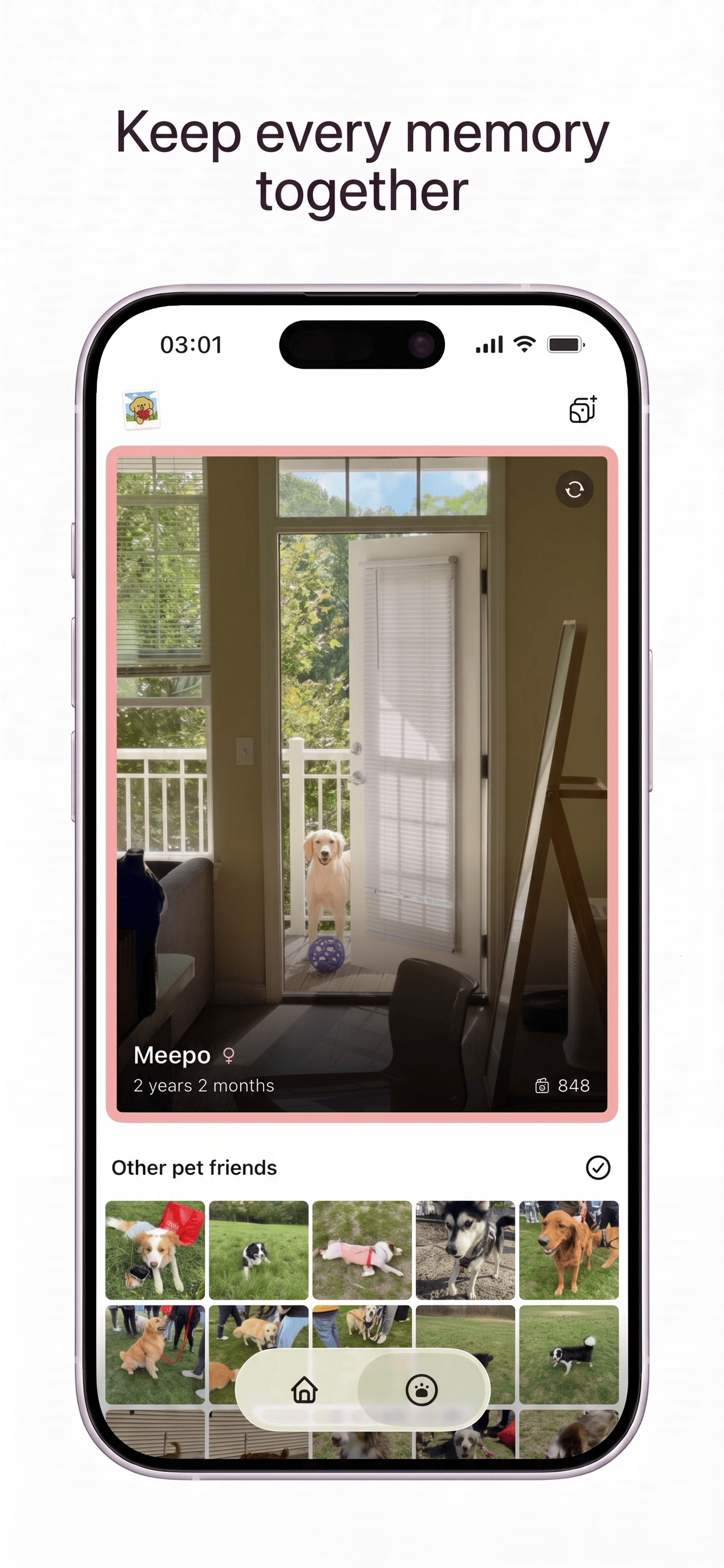 Meepo: The Pet Photo App screenshot 3
