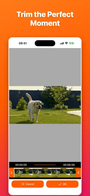 VideoReverser: Reverse Video screenshot 4